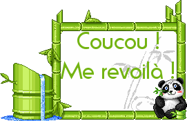 Gif animé coucou me revoila panda